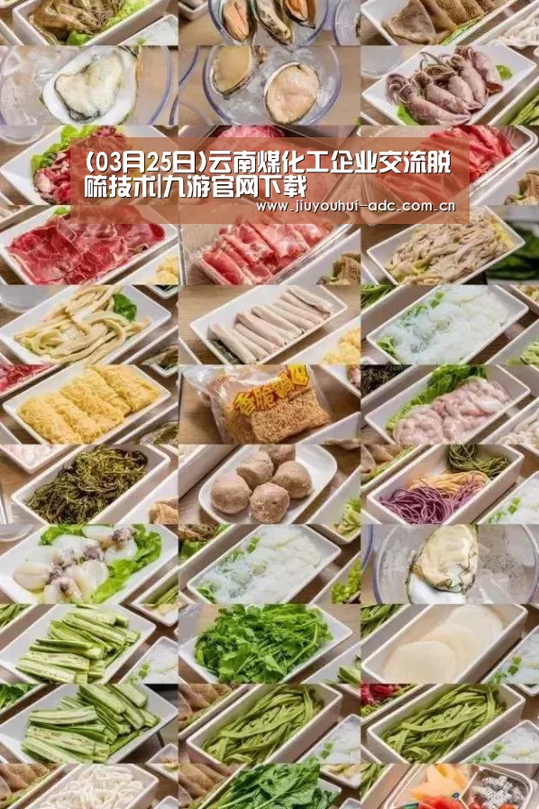 (03月25日)云南煤化工企业交流脱硫技术|九游官网下载(图3) 九游游戏中心手机版